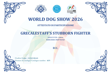 Attestato Eccellente WDS 2026 per Grecalestaffs Stubborn Fighter Jin con giudice Dean
