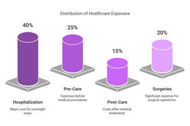 common expenses in healthcare chart representation