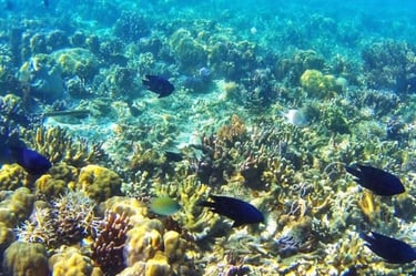 coron island palawan philippines