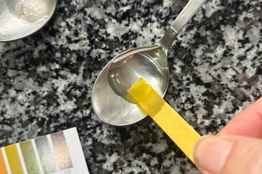 dipping a ph paper strip into brine on a spoon