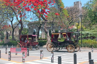 Carrozze turistiche nel centro storico di Guadalajara