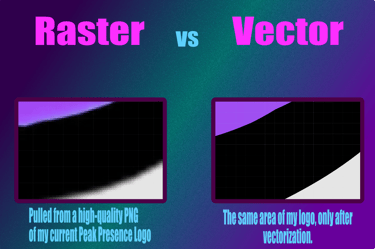 a picture of a computer screen showing a raster and a vector