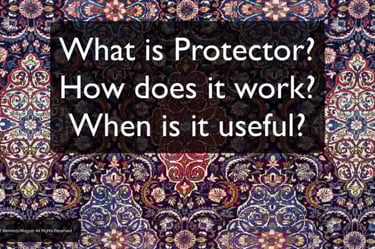 Protector moisture barrier