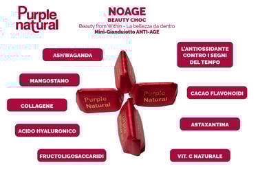 Cioccolatino con Antiossidanti NOAGE e BRAIN SupportE