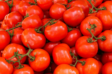a bunch of tomatoes are shown in this picture