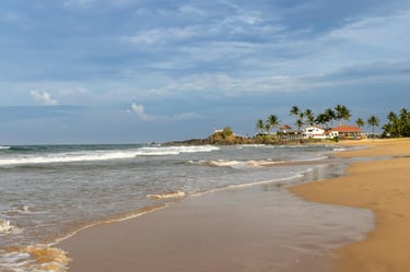 Mirissa and Unawatuna beaches are so entertaing. Diving, Relaxation, Surfing, night life,...