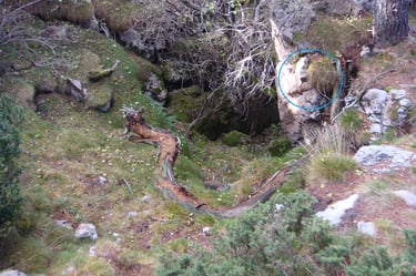 Cavall del comte Arnau