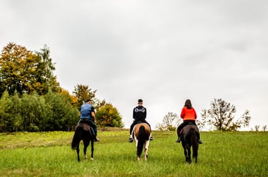 turisti calare pe cai