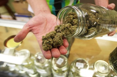Cannabis Shop in Malta handing out weed