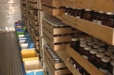 CJR AUDITS Ile de France stockage des échantillons de sol diagnostic pollution