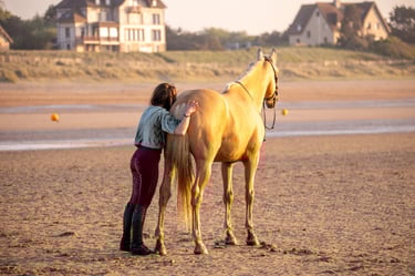 couple cavalier cheval en liberte la plage