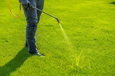 Professional lawn care technician applying liquid weed control spray to a bright green residential yard.