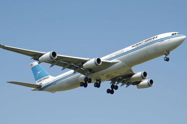 a large passenger jet airplane flying through the air