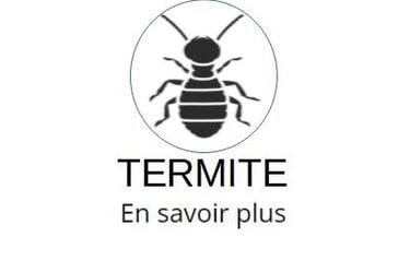 diagnostic termites
