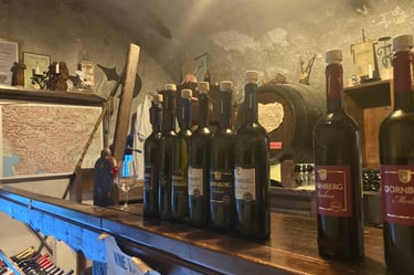 Wine tasting in Bled castle