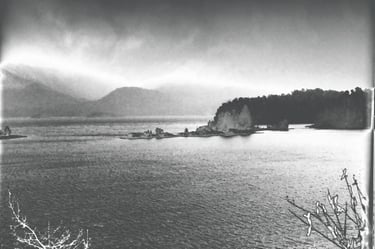 fotografia analogica en 35mm de un paisaje en bariloche