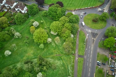 Green space in a town
