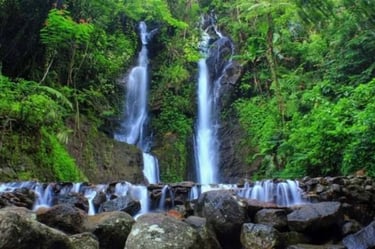 Aliran air terjun Curug Cilember yang jernih jatuh ke kolam alami, dikelilingi hutan pinus rindang dan vegetasi hijau, cocok 