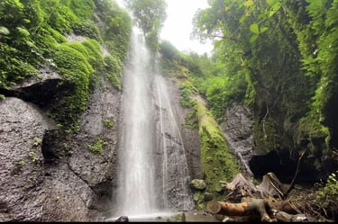 Air terjun bertingkat Curug Nangka di tengah rimbunnya hutan pinus, menunjukkan keindahan alam yang sejuk di kawasan Taman Na