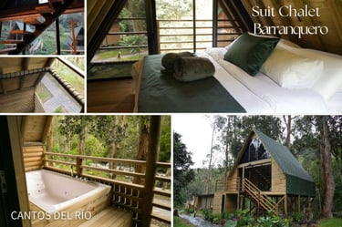 Suite Chalet Barranquero, Cantos del Río, entorno natural