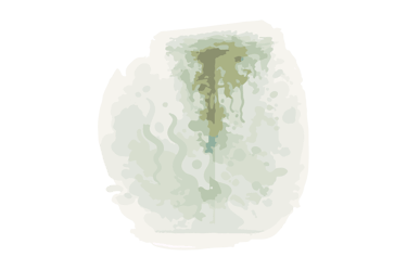 Pared llena de humedades.