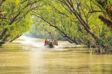 Sundarban boat safari wildlife adventure tour