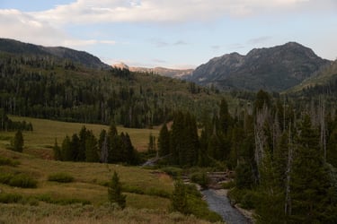 North Elk River below Mount Zirkel Wilderness, Colorado