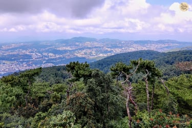 A bird's-eye view of Shillong - captured from the majestic Shillong Peak.