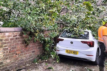Emergency Callout to a tree fallen on a car