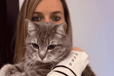 chat gris porté devant femme