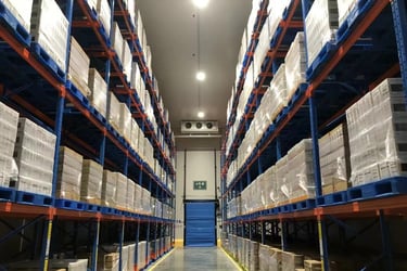 Drive-in Logistics Cold Room Project