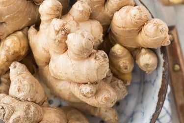 indian-ginger-for-export