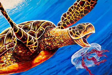 Graphic artist custom paintings