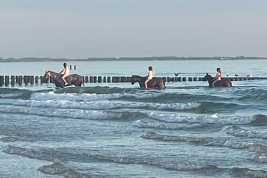 Tracey Billington on the beach at Strand Van Zoutelande, Netherlands