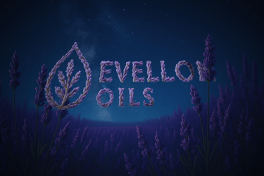 Evellon Oil Logo and name made of intertwined lavender in a lavender field under a starry night sky