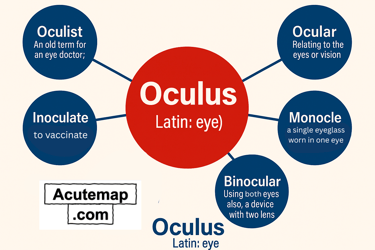 Oculus root word chart from Word Power Made Easy Book