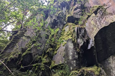 Reclaiming mining infrastructure - project partner