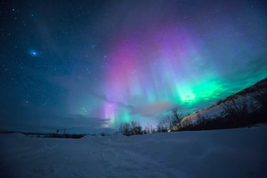 Northern Lights, Reindeer & Dog Sledding - Fairbanks, AK