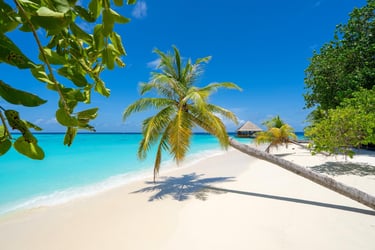 Top 10 best beaches in the Maldives