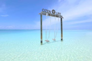 Ozen Life Maadhoo Maldives swing