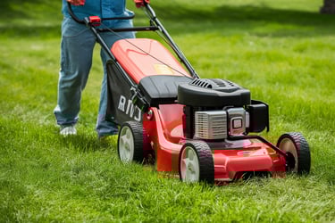 Grass Cutting