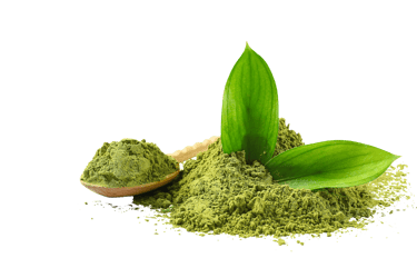 vibrant green matcha powder close up