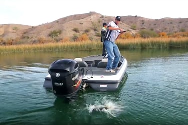 fishing guides lake havasu city az