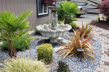 flax as an accent plant