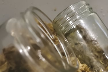 Glass jars suitable for a self watering moss pole