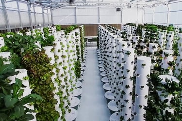 vertical farming