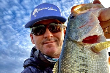 lake havasu city fishing report