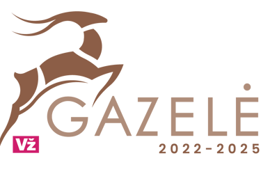 Verslo gazelė 2025 apdovanojimas