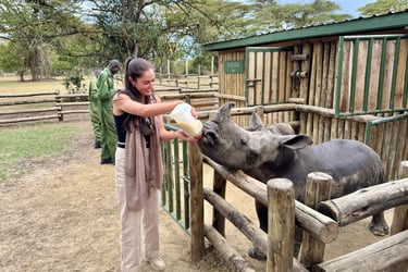 Solio Lodge Kenya rhino orphanage