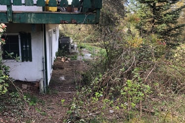 Blackberry removal before pic